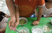 Trung Tâm Dạy Trẻ Chậm Nói Hiệu Quả Tại TPHCM